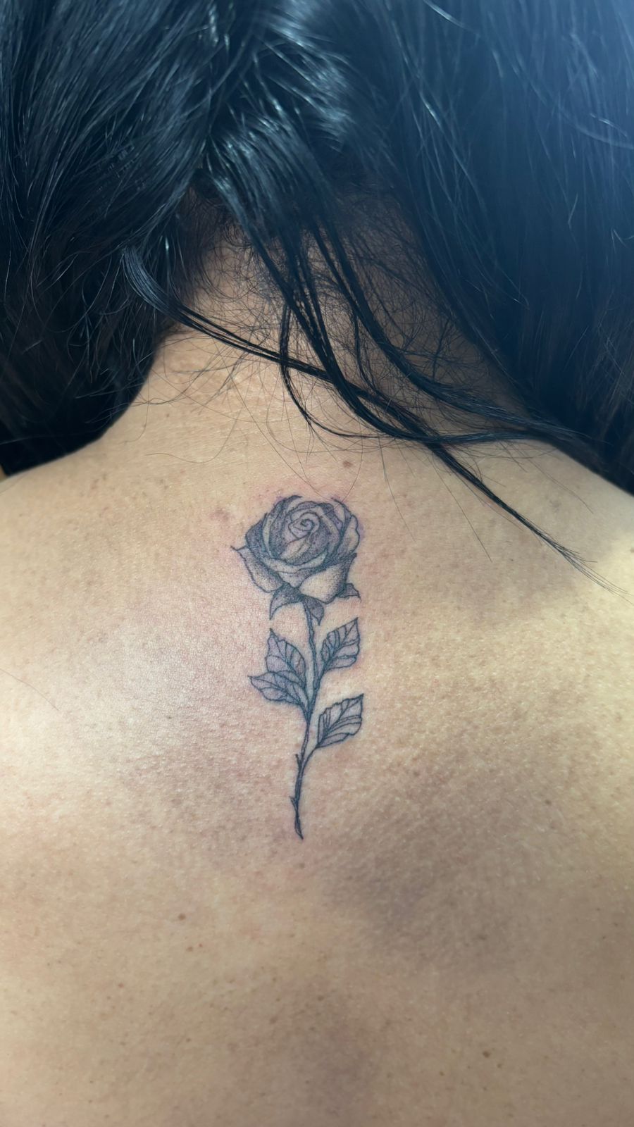 Tattoo botânico delicada 1